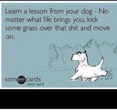Dog Humor: Learn a lesson from your dog. No matter what life brings you, kick some grass over that shit and move on.