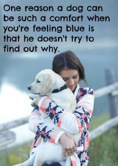 #dog is the best man's friend, no doubts! #pet #pets #quote #saying