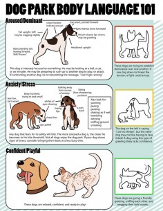 Dog Park Body Language 101