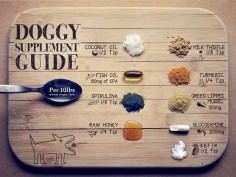 Dog Supplement Guide by Planet Paws (Rodney Habib)