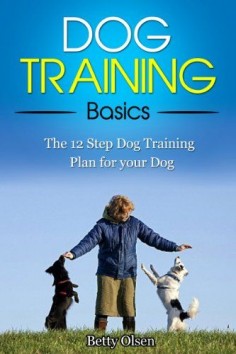 Dog Training Basics: The 12 Step Dog Training Plan for your Dog (Obedience, Puppy Training)