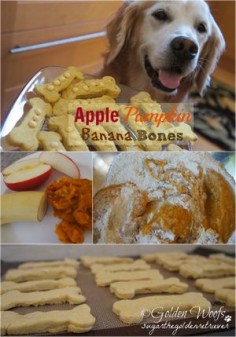 Dog Treat: Apple Pumpkin Banana Bones: Sugar The Golden Retriever