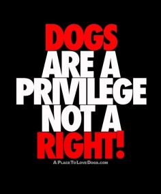 Dogs Are A Privilege | Dog Quote - A Place to Love Dogs