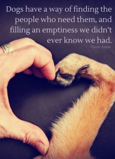 Dogs have a way of finding the people who need them, and filling an emptiness we didn’t ever know we had. -Thom Jones