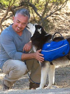 Dogs love having jobs, and if they’re focused on walking and carrying, they are much less likely to chase squirrels or bicyclists. There’s nothing more therapeutic for a dog than having a job to do, and carrying a backpack is that job. – Cesar Milla