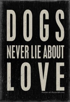 Dogs never  ☆