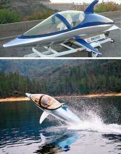 Dolphin shaped power boat!  I so want one of these!