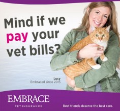 Don't let expensive vet bills come between you and the best care for your pet. Get a quote from Embrace Pet Insurance today.