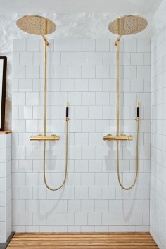 double brass shower
