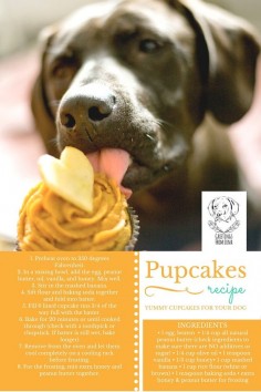 Easy Dog Birthday Cupcake Recipe | Greetings From Luna