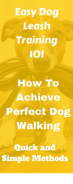 Easy Dog Leash Training | Stop your dog from pulling on the leash. Experience a nice, smooth dog walk! Easy, solid leash training methods.