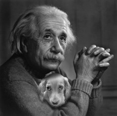 Einstein's dog