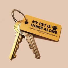 Emergency Pet Keychain Tag – The Pet Care Card