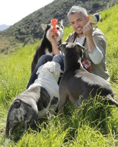 Engage in Thoughtful Playtime With Your Dog | Cesar Millan