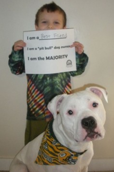 Ethan and Phillmore, Seattle WA I am a best friend I am a “pit bull” dog owner I am the majority