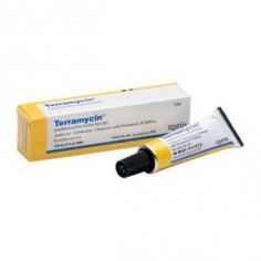 Eye Infection Ointment for Dogs, Cats | Terramycin