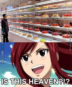 Fairy Tail Erza memes - Google Search