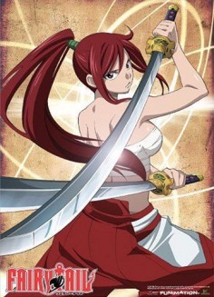 Fairy Tail Erza Wall Scroll Poster