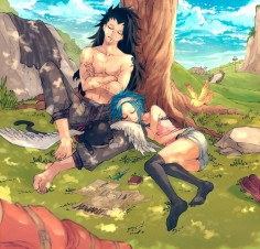 fairy tail, gajeel redfox, levy mcgarden, panther lily