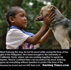 FAITH IN HUMANITY RESTORED VISIT US EVERY DAY FOR MORE =)