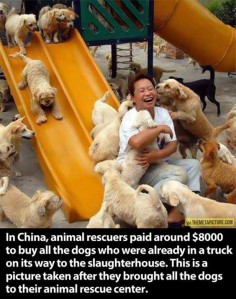 Faith In Humanity Restored:)