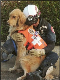 Fire Rescue with SAR  pic really shows the love between the two::