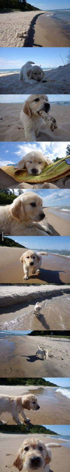 First trip to the beach? That's golden.