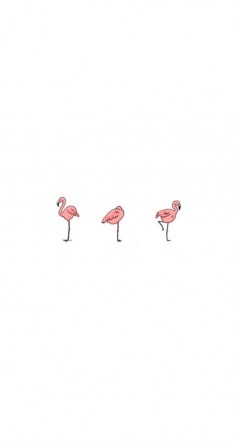 #Flamingos / Download more #fancy #iPhone #Wallpapers at @iPhone Wallpapers