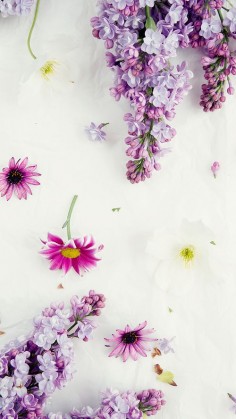 Floral ★ Find more Vintage wallpapers for your #iPhone + #Android @iPhone Wallpapers