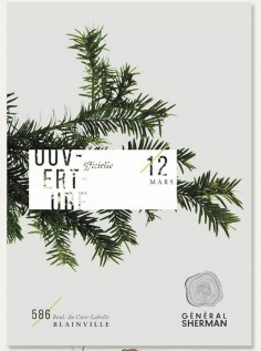 Flyer Design Graphic Design Nature Tree Pine General Sherman