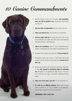 for every pet parent