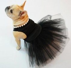 French Bulldog Princess modeling 'The Little Black Dress', Dog Couture by ForRosie on Etsy