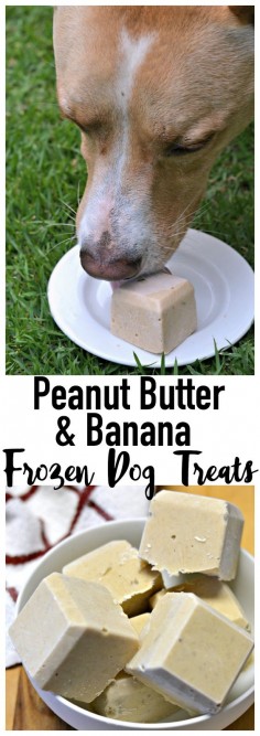 Frosty treats for your furry friend! Made with peanut butter + banana + and yogurt, these homemade frozen dog treats are perfect for summer!