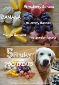 Fruity Frozen Dog Treats