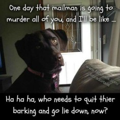 Funny Animal Pictures Of The Day - 22 Pics