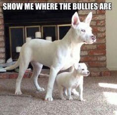 Funny Dogs with Captions | Description from Funny Dog Pictures With Captions wallpaper :