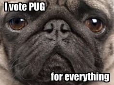 Funny Pug Dog Meme Pun LOL