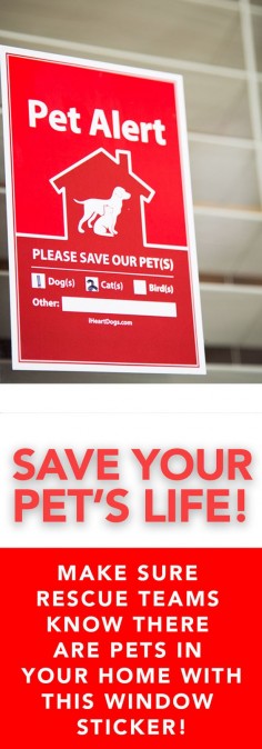 Gain a peace of mind with the Pet Alert stickers on your windows at home. This will notify rescue teams or firefighters in the event of an emergency that your pets are still in the home! This is something that any serious pet owner should have on their windows! ALSO: PLEASE CONSIDER PURCHASING STICKERS FOR FRIENDS AND FAMILY WITH PETS! Every purchase feeds 4 shelter dogs!