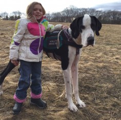 George the Great Dane helps fourth grader Bella manage a rare disease.