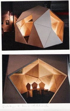 Gerard Caris experiment in pentagonism modular residential construction