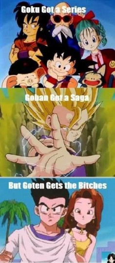 Goku gets a Series Gohan Gets a saga, and Goten gets the bitches.
