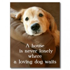 Golden Retriever A House Is Never Lonely Post Cards by #AugieDoggyStore