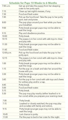 Good puppy potty training schedule