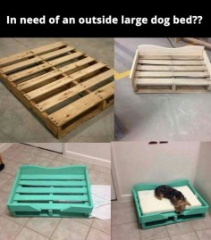 Great Idea For A Dog Bed! Stylish + Cheap! ♥