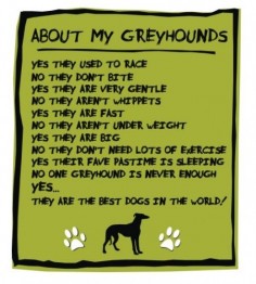 Greyhound!