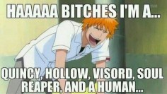 Hahaha, not forgetting Fullbringer!lol No one in anime history can compete with that babe! Love my Ichigo!!