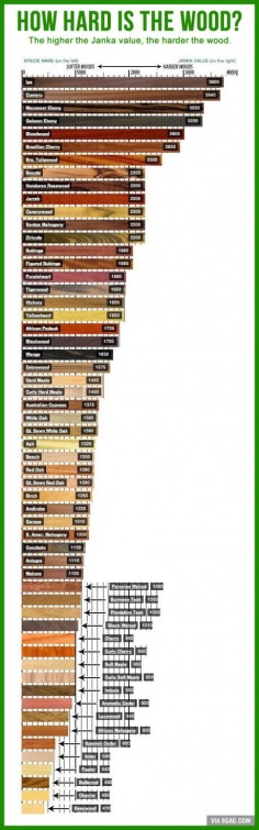 Hard Wood or Soft Wood? This chart tells you what they are.