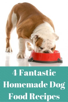 Have a picky eater? Check out these great dog food recipes perfect for your best friend. #pets #recipes #dog