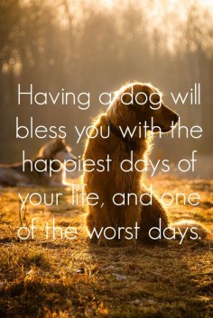 Having a dog will bless you with the happiest days of your life, and one of the worst days.
