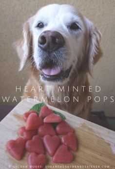 Heart Minted Watermelon Pops For Fresh Dog Breath